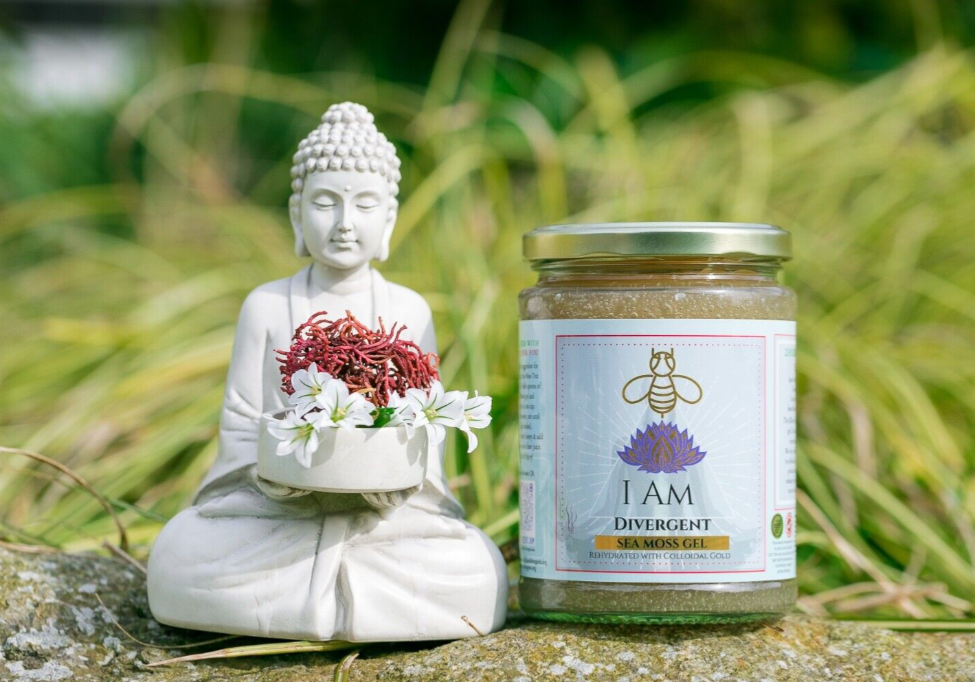 Colloidal Gold Seamoss Gel 500ml Made With Wildcrafted Sea Moss