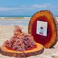 Purple Seamoss 1kg 100% Organic Sea Moss package