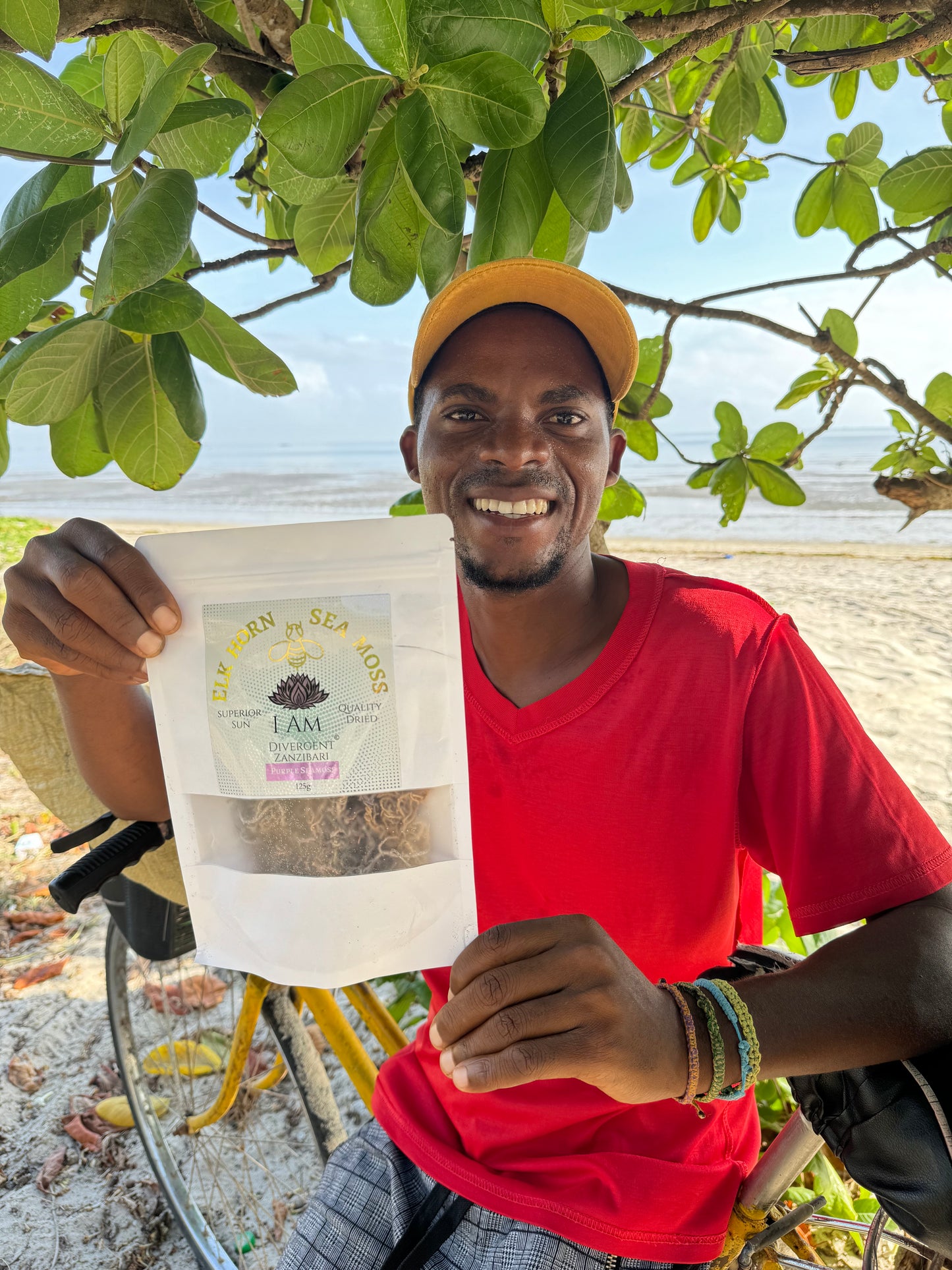 Sea Moss 125g Of Sun Dried Purple Seamoss from Zanzibar