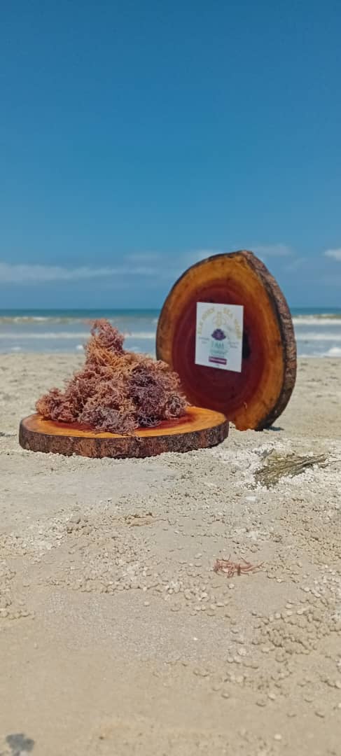 Sun Dried Zanzibari Sea Moss