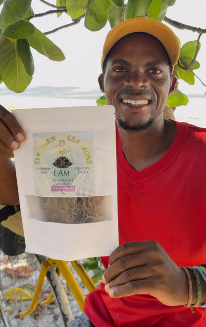 Sea Moss 125g Of Sun Dried Purple Seamoss from Zanzibar