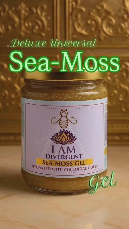 SEAMOSS GEL- Colloidal Gold 500ml - PREMIUM Wildcrafted Oganic Vegan ⭐️⭐️⭐️⭐️⭐️ 48hr Fast Delivery